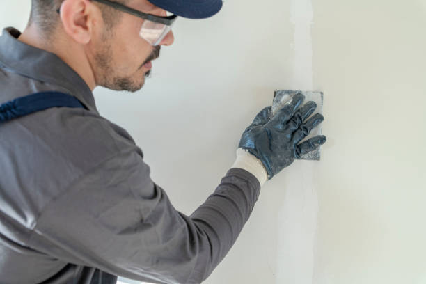 Best Real Estate Mold Inspection  in Camden, AL