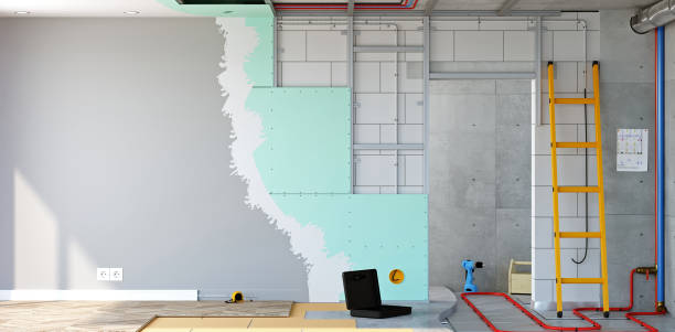 Best Attic Mold Removal  in Camden, AL