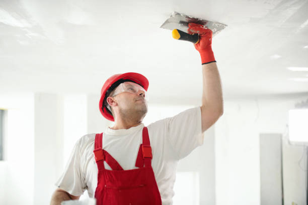 Best Mold Damage Restoration  in Camden, AL