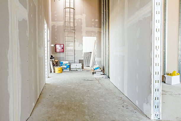 Best Residential Mold Inspection & Testing  in Camden, AL