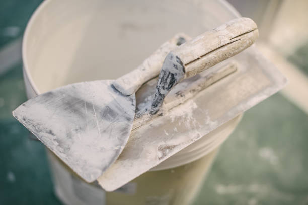 Best Black Mold Removal  in Camden, AL