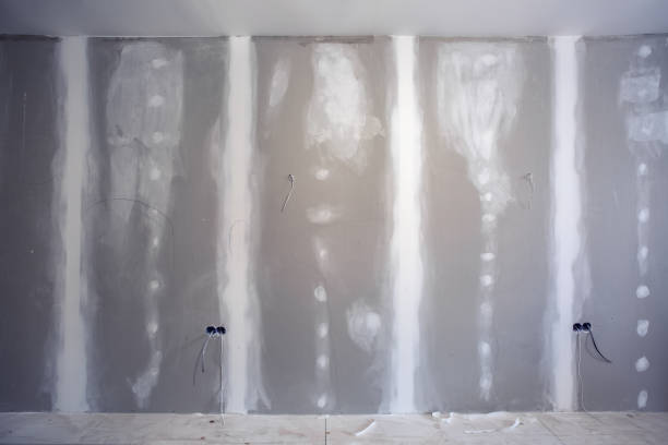 Best Mold Prevention Services  in Camden, AL